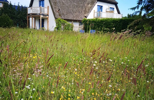 Lancken-Granitz Apartment | Pet-Friendly Apartment with Ocean View in Rügen Biosphere