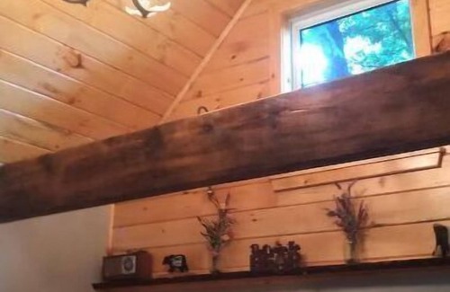 Dansville Cabin | Experience the Cozy Livingston Cabin with Breakfast Included