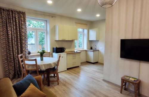 Ventspils Apartment | Livu Apartments in the Old town