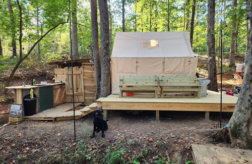Villa Rica RV Rental | Serene Llama Retreat - Unique Wall Tent in Nature's Embrace