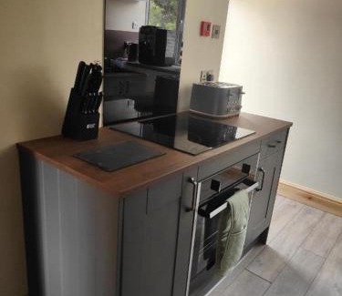 Beddgelert House | Pet-Friendly Comfort at Llew Accommodation - The Townhouse