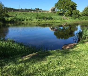 Rhydlydan Bed & Breakfast | Premier Llwyn Onn Guest House in North Wales - Rated 9.5