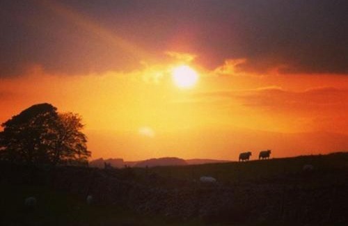Rhydlydan Bed & Breakfast | Premier Llwyn Onn Guest House in North Wales - Rated 9.5