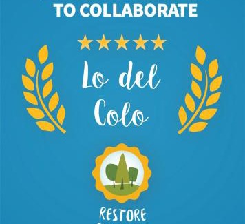 Canning House | Pet-Friendly Getaway at Lo del Colo with Pool and Breakfast