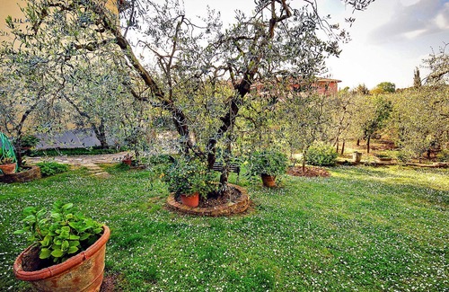 Mercatale Val di Pesa Apartment | Ideal Apartment for 6 with WIFI, Terrace & Parking Near Greve