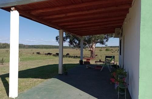 Federacion House | Lo Pituco casa de campo
