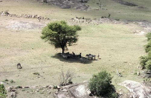 Olakira Camp Cabin | Exceptional Lobo Wildlife Lodge: Pool, Breakfast & Family Fun