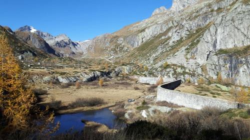 Crodo House | Pet-Friendly Locanda del Sasso: Rated 9/10 with Pool & Dining