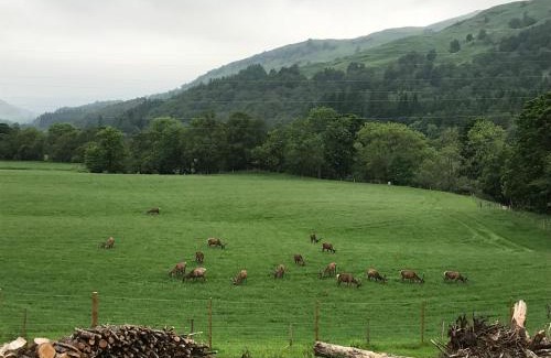 Killin Apartment | Explore Lochay Lodges: Guest Rated 9/10 with Breakfast