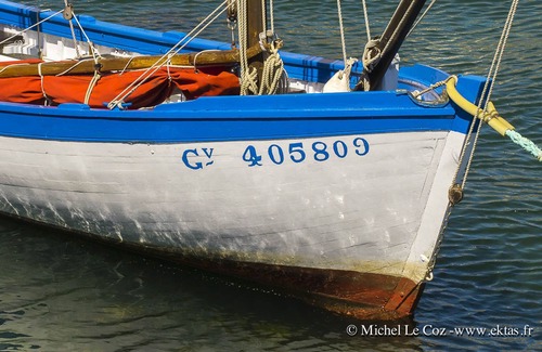 Locronan House | LOCRONAN. Rest between sea and land,; calm, 5mn from the beach.jardin.