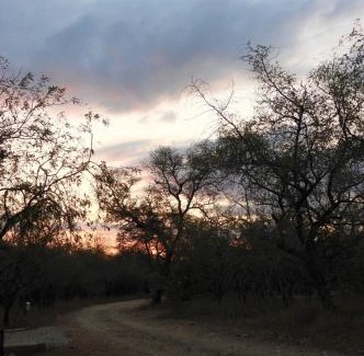 Marloth Park House | Immaculate 2-Bedroom Cottage at Locust Retreat - Rated 10/10