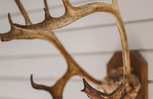 Akaslompolo Cabin | Discover Lodge 67°N Lapland: Family-Friendly Retreat