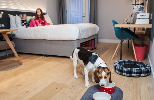 Whiteley Hotel | Discover Lodge at Solent: 4-Star Hotel with Family-Friendly Amenities