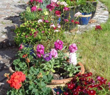 Bishopswood Bed & Breakfast | Top-Rated Lodge House B&B with Family-Friendly Amenities