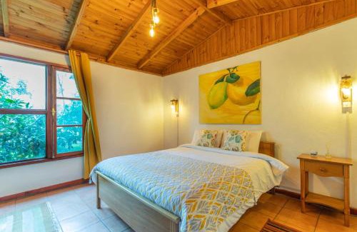 Mallarauco Cabin | Lodge Los Naranjos de Mallarauco