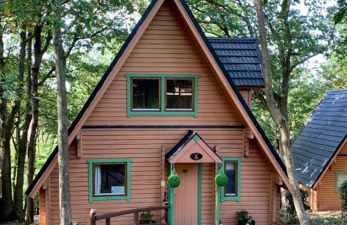 Liverton House | Discover Lodge Nine - A Perfect Devon Holiday Retreat