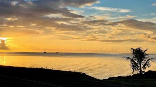 Uturoa House | Pet-Friendly Lodge ORION - Oceanfront Retreat at Coté Lagon