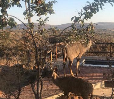 Bela-Bela House | Relaxing Lodge Twentyfour in Mabalingwe Nature Reserve