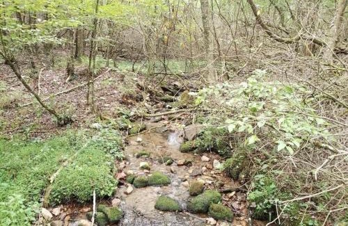 Burks Fork House | Escape to Lodges at Buffalo Mountain on 168 Private Acres