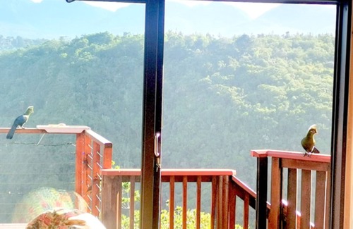 Victoria Bay Cabin | Discover Loerie's Rest Cabin: Oceanfront Retreat Awaits