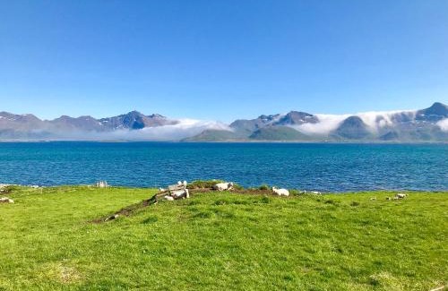Bostad House | Charming Lofoten Bay View Hotel: Child-Friendly Retreat