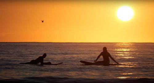 Flakstad Other | Scenic Lofoten Beach Camp: Embrace Oceanfront Bliss