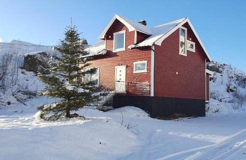 Sørvagen House | Discover Lofoten Finnhavn Øvre: Pet-Friendly Retreat