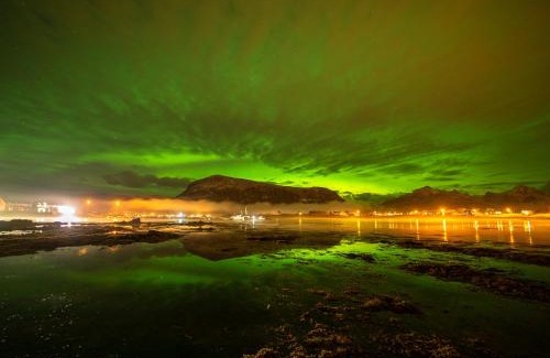 Vestvagøy Apartment | Experience Lofoten Rorbuutleie - Lilleeidet with Ocean Views