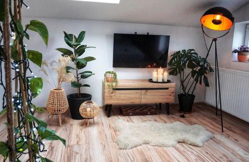Nowy Dwor Gdanski Apartment | Exclusive Loft Żuławy: Pet & Child Friendly Retreat