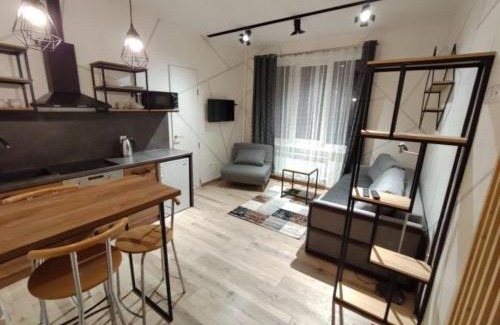 Kosuv Stary Apartment | Cozy Loft Near Park, Stadium & Lake - Family and Pet Friendly