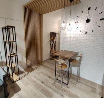 Kosuv Stary Apartment | Cozy Loft Near Park, Stadium & Lake - Family and Pet Friendly