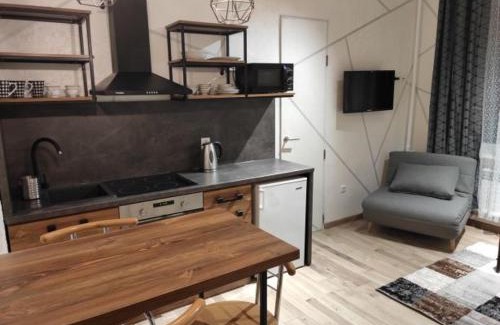 Kosuv Stary Apartment | Cozy Loft Near Park, Stadium & Lake - Family and Pet Friendly