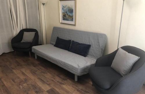 Alpine Apartment | Downtown Loft 3: Pet Friendly with Kitchen Amenities
