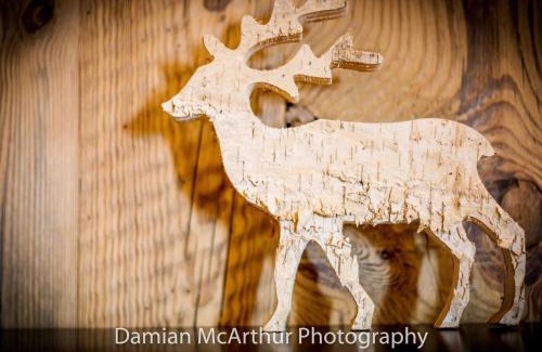 Avoriaz Ski Chalet | Loft Amenda, duplex d'exception pour 12 personnes et 7 pièces - FR-1-314-305