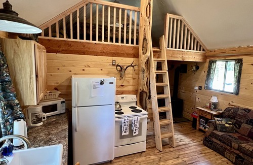 Island Park Cabin | Idyllic Loft Cabin Surrounded by Nature with Pool & Spa