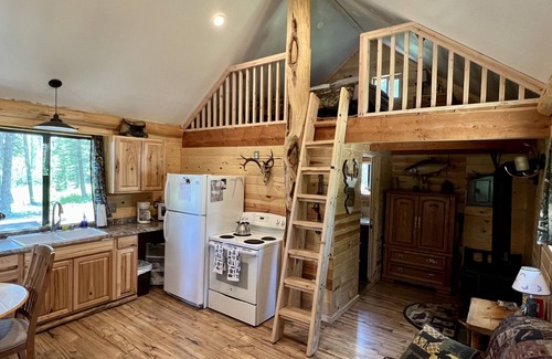 Island Park Cabin | Idyllic Loft Cabin Surrounded by Nature with Pool & Spa