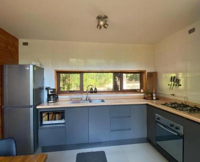 Pucon Apartment | Cozy Loft Coigüe with Oceanfront Views in Pucón