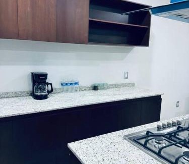 Tepatitlan de Morelos Apartment | Loft Deluxe King Sizes E Ubicacion Facturamos