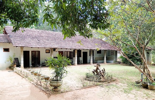 Habarana Cabin | Cozy Loft for 4 at Eagles Wing's Guest House