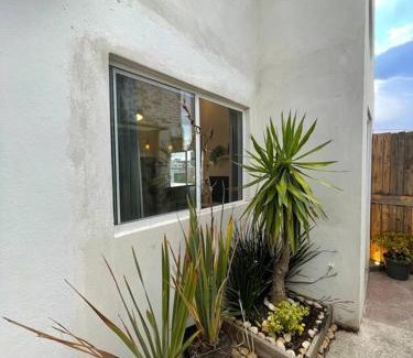San Luis Potosi Apartment | Beautiful Loft with City Views for Your Next Getaway