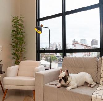 Humaita Apartment | Pet-Friendly Loft Illuminà: Guest Rated 9.6/10