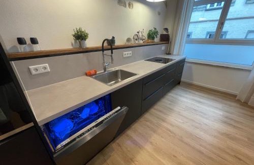 Wangen im Allgaeu Apartment | Historic Loft in the Heart of the Old Town - Family-Friendly