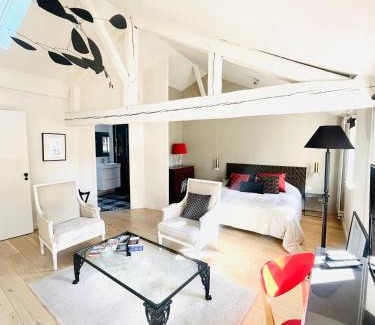 Metz-Centre – Ancienne Ville Apartment | Charming Loft Le Saint Louis: Pet Friendly with Breakfast