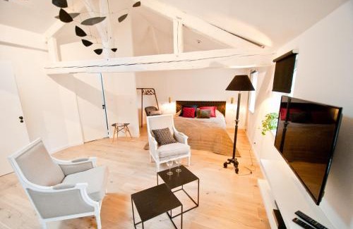 Metz-Centre – Ancienne Ville Apartment | Charming Loft Le Saint Louis: Pet Friendly with Breakfast