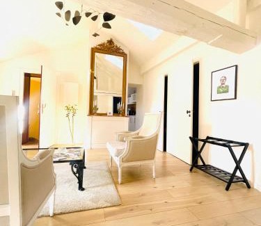 Metz-Centre – Ancienne Ville Apartment | Charming Loft Le Saint Louis: Pet Friendly with Breakfast