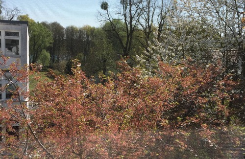 Gross Glienicke Apartment | Stylish Duplex with Terraces in Berlin-Potsdam Area