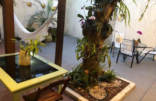 Palmeiras House | Pet-Friendly Loft with Ocean View and Perfect Guest Rating
