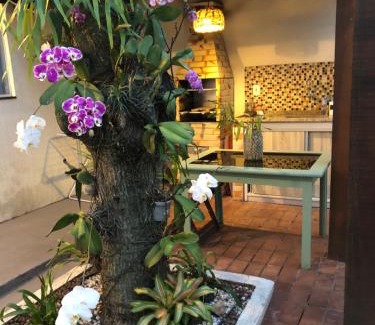 Palmeiras House | Pet-Friendly Loft with Ocean View and Perfect Guest Rating
