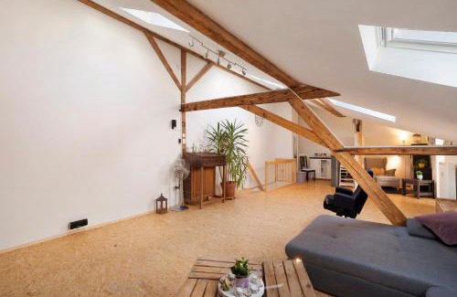 Baden-Baden Apartment | Pet-Friendly Loft Sven with Impressive 8.7/10 Rating