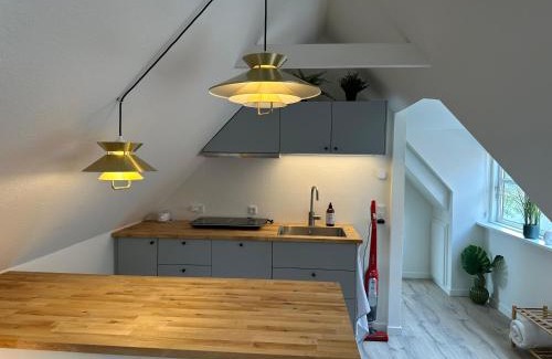 Ringkobing Apartment | Central Loft Apartment - Family-Friendly with Great Reviews